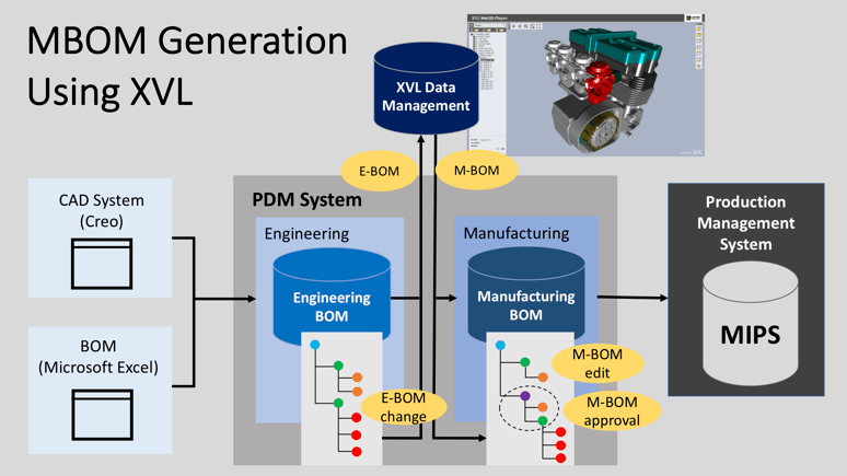 MAM Graphics-Image1